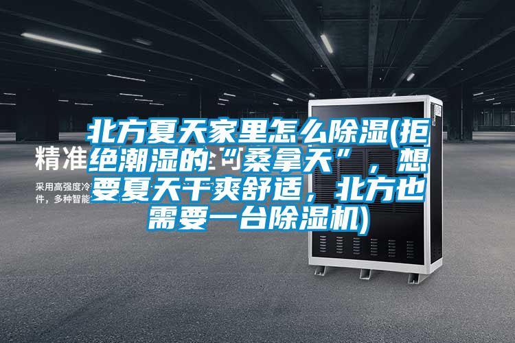 北方夏天家里怎么除濕(拒絕潮濕的“桑拿天”，想要夏天干爽舒適，北方也需要一臺除濕機)