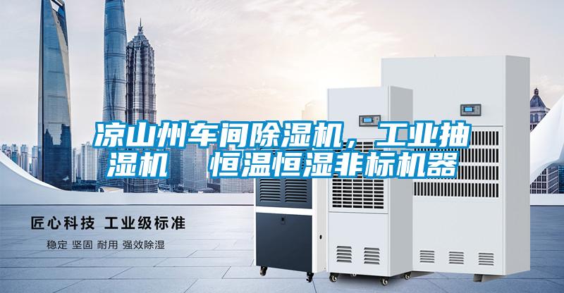涼山州車(chē)間除濕機(jī)，工業(yè)抽濕機(jī)  恒溫恒濕非標(biāo)機(jī)器