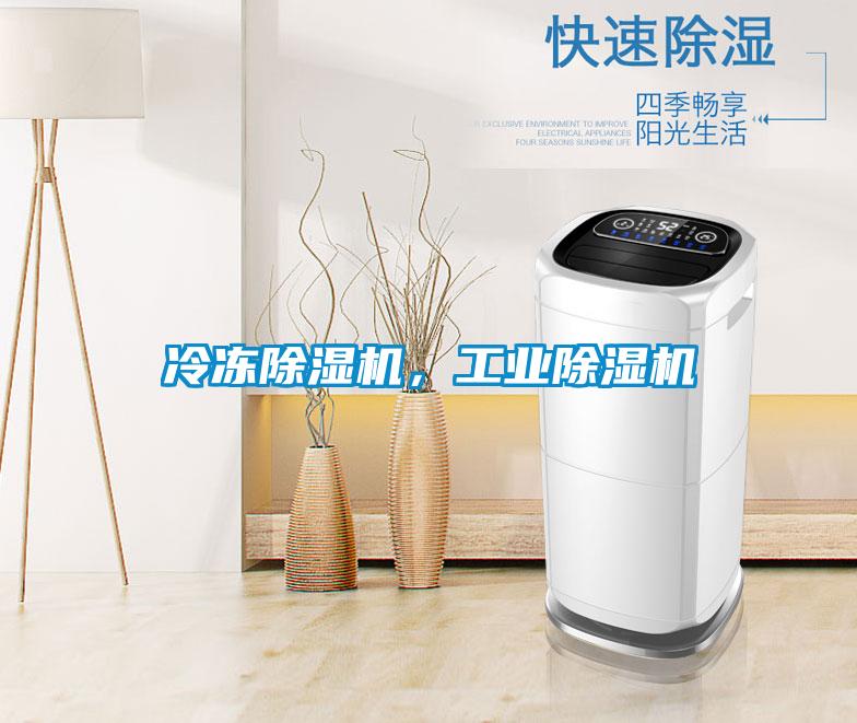 冷凍除濕機，工業(yè)除濕機