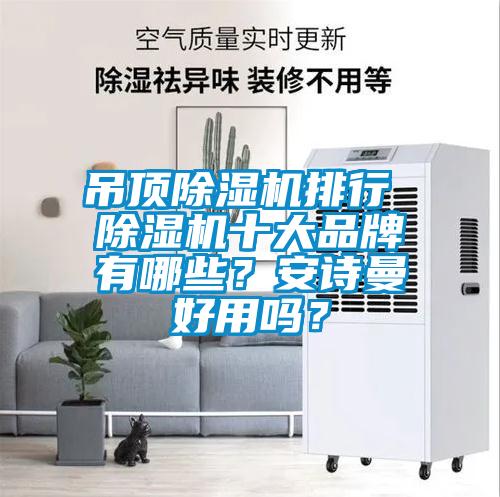 吊頂除濕機排行 除濕機十大品牌有哪些？安詩曼好用嗎？