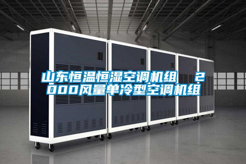 山東恒溫恒濕空調(diào)機組  2000風(fēng)量單冷型空調(diào)機組