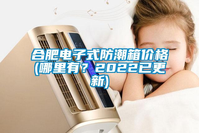 合肥電子式防潮箱價(jià)格(哪里有？2022已更新)