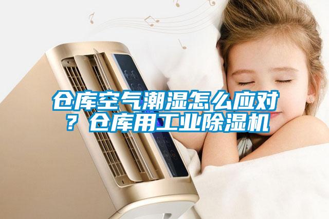 倉(cāng)庫(kù)空氣潮濕怎么應(yīng)對(duì)？倉(cāng)庫(kù)用工業(yè)除濕機(jī)