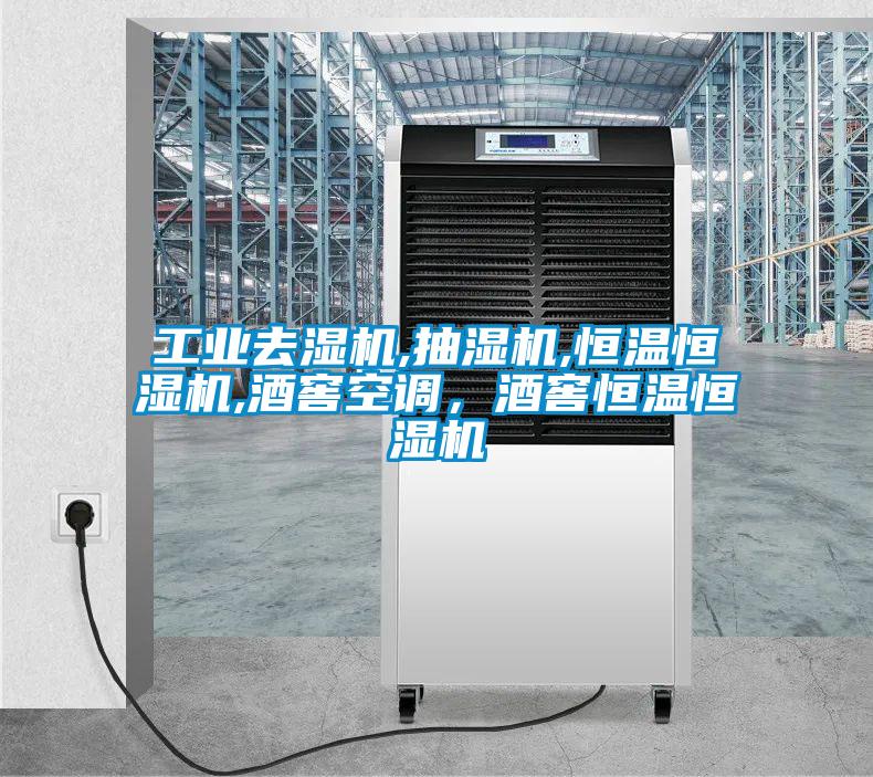 工業(yè)去濕機,抽濕機,恒溫恒濕機,酒窖空調(diào)，酒窖恒溫恒濕機