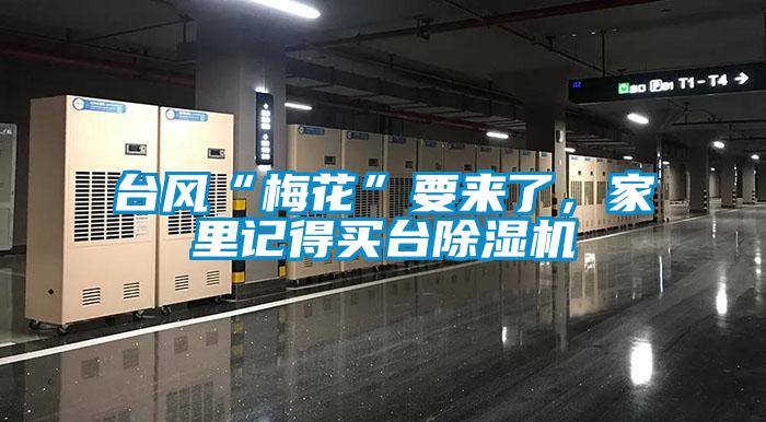 臺風(fēng)“梅花”要來了，家里記得買臺除濕機