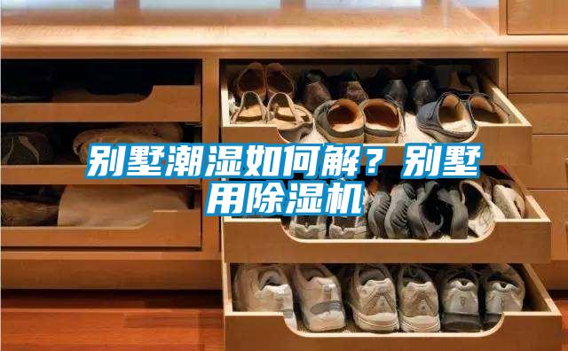 別墅潮濕如何解？別墅用除濕機(jī)