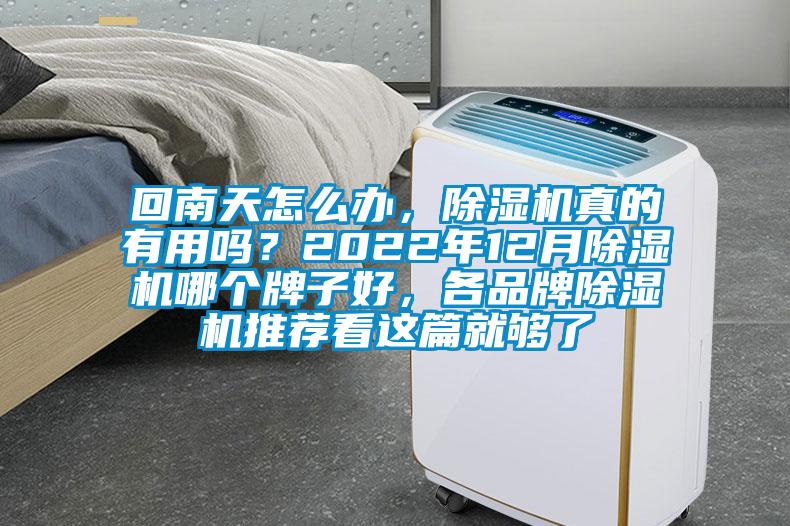 回南天怎么辦，除濕機(jī)真的有用嗎？2022年12月除濕機(jī)哪個牌子好，各品牌除濕機(jī)推薦看這篇就夠了