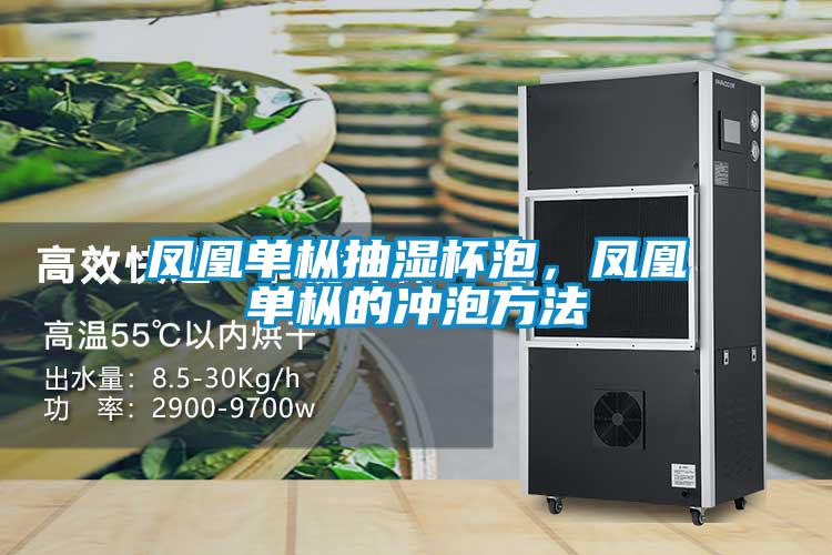 鳳凰單樅抽濕杯泡，鳳凰單樅的沖泡方法