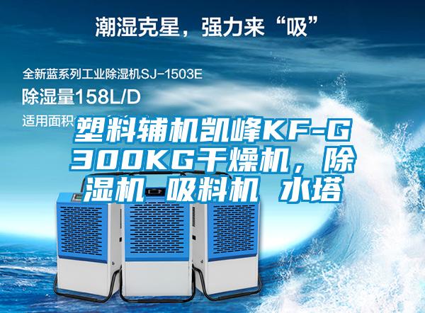 塑料輔機凱峰KF-G300KG干燥機，除濕機 吸料機 水塔