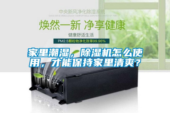 家里潮濕，除濕機(jī)怎么使用，才能保持家里清爽？