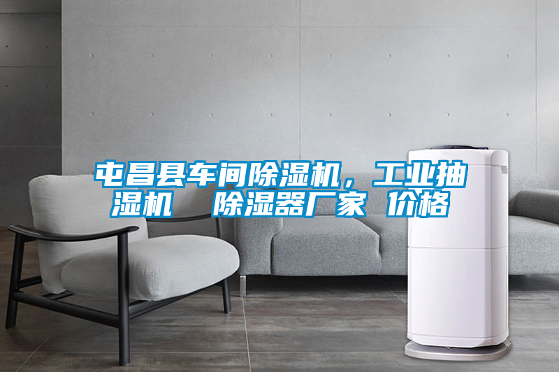屯昌縣車間除濕機，工業(yè)抽濕機  除濕器廠家 價格