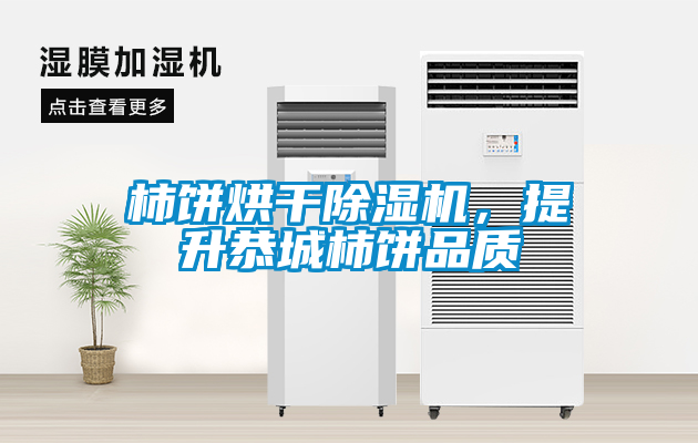 柿餅烘干除濕機，提升恭城柿餅品質(zhì)