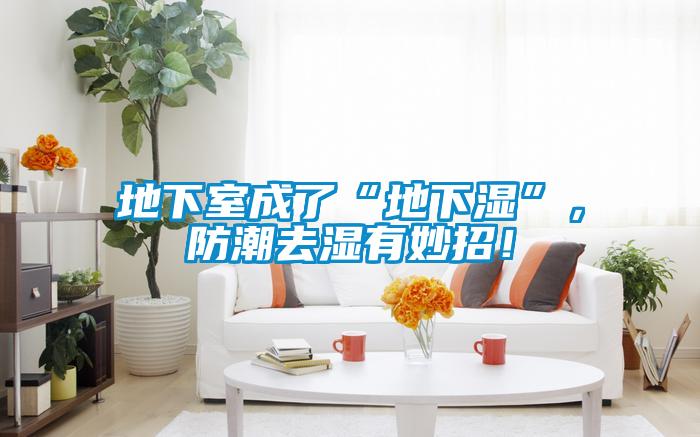 地下室成了“地下濕”，防潮去濕有妙招！