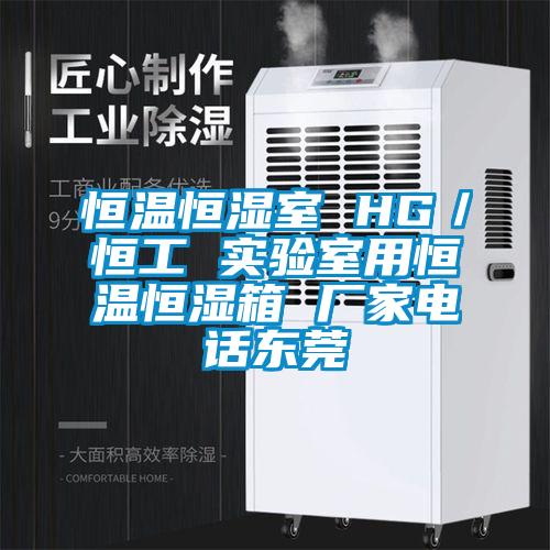 恒溫恒濕室 HG／恒工 實(shí)驗(yàn)室用恒溫恒濕箱 廠(chǎng)家電話(huà)東莞