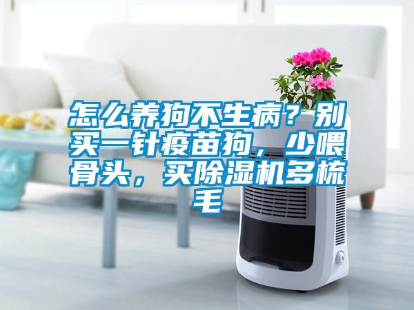 怎么養(yǎng)狗不生??？別買一針疫苗狗，少喂骨頭，買除濕機(jī)多梳毛