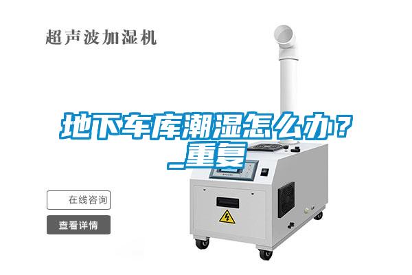地下車(chē)庫(kù)潮濕怎么辦？_重復(fù)
