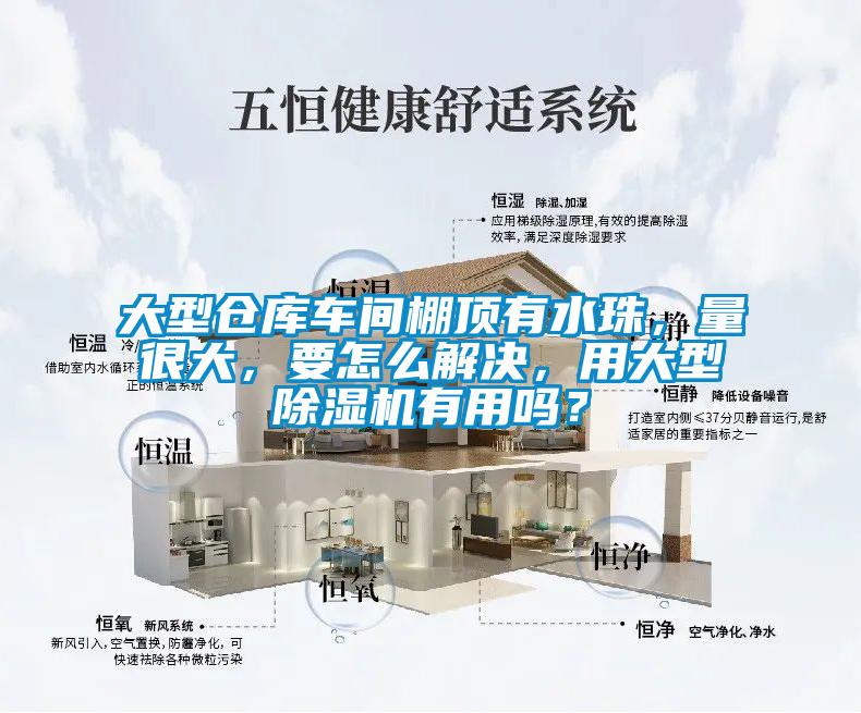 大型倉庫車間棚頂有水珠，量很大，要怎么解決，用大型除濕機有用嗎？