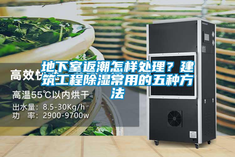 地下室返潮怎樣處理？建筑工程除濕常用的五種方法