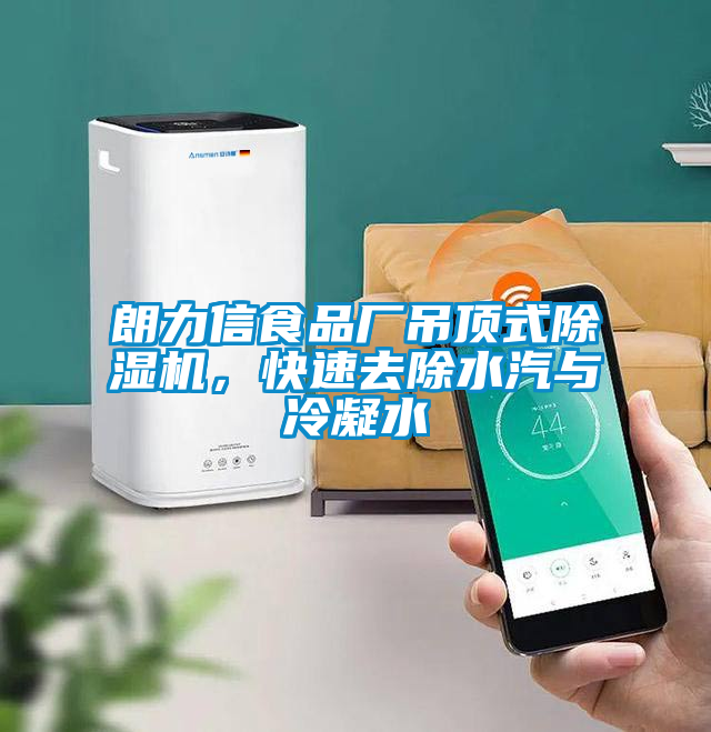 朗力信食品廠吊頂式除濕機(jī)，快速去除水汽與冷凝水