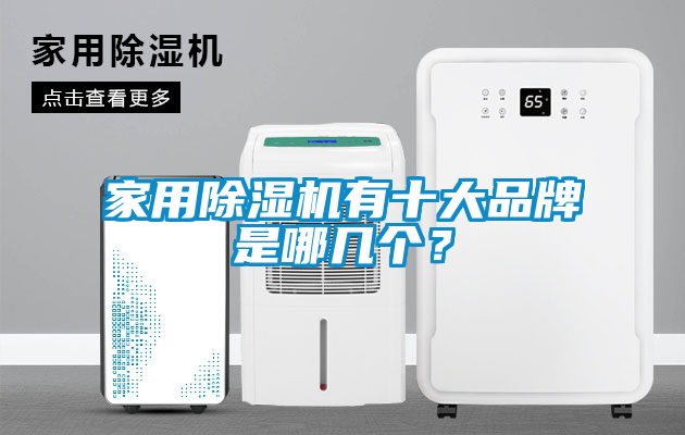 家用除濕機(jī)有十大品牌是哪幾個(gè)？