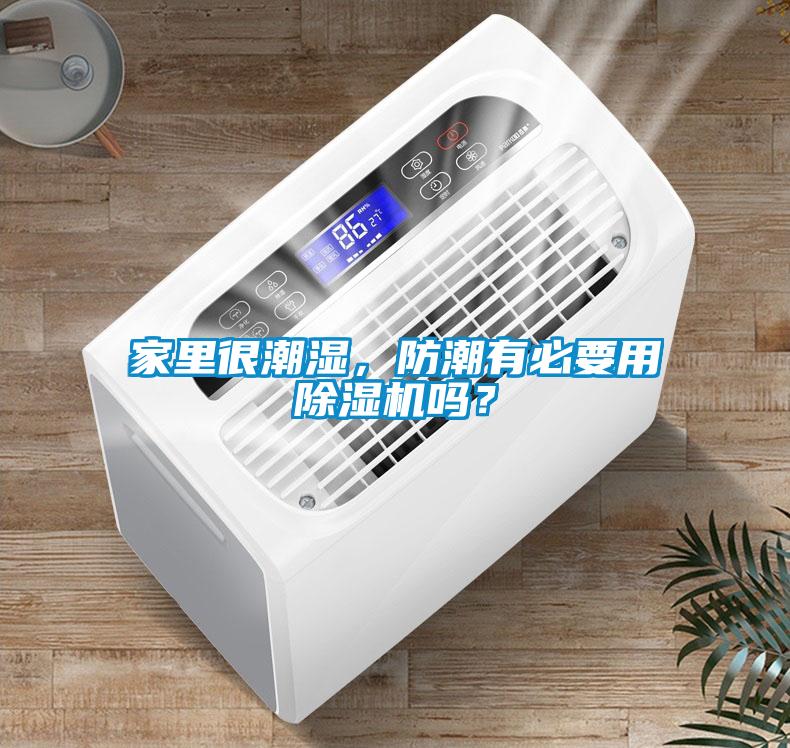 家里很潮濕，防潮有必要用除濕機(jī)嗎？