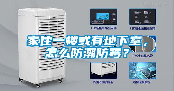 家住一樓或有地下室，怎么防潮防霉？