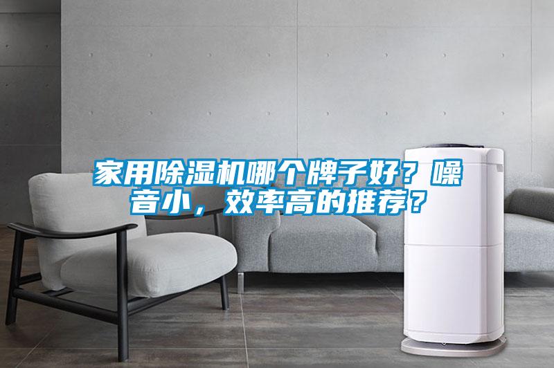 家用除濕機(jī)哪個(gè)牌子好？噪音小，效率高的推薦？