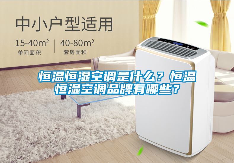 恒溫恒濕空調(diào)是什么？恒溫恒濕空調(diào)品牌有哪些？