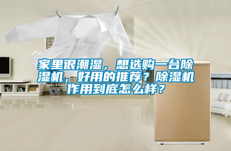 家里很潮濕，想選購(gòu)一臺(tái)除濕機(jī)，好用的推薦？除濕機(jī)作用到底怎么樣？