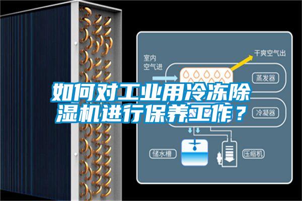 如何對工業(yè)用冷凍除濕機進行保養(yǎng)工作？