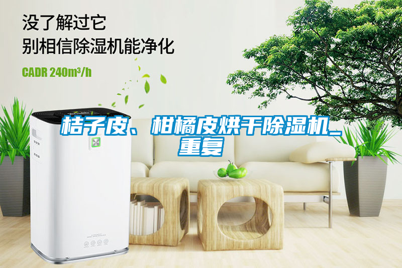 桔子皮、柑橘皮烘干除濕機(jī)_重復(fù)
