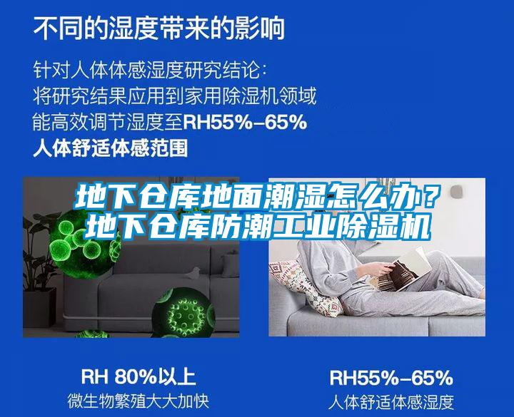 地下倉庫地面潮濕怎么辦？地下倉庫防潮工業(yè)除濕機