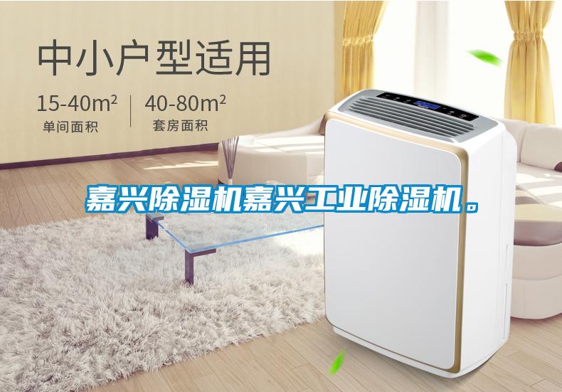 嘉興除濕機嘉興工業(yè)除濕機。