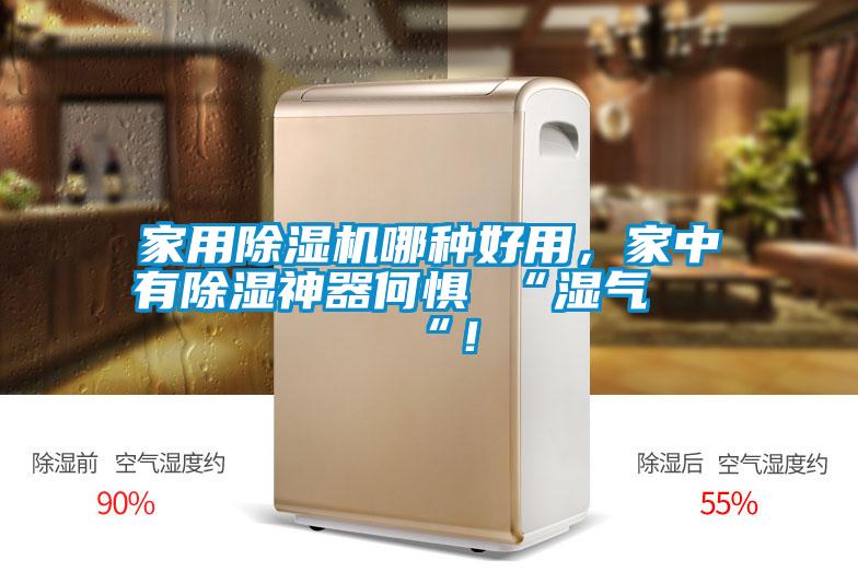 家用除濕機(jī)哪種好用，家中有除濕神器何懼 “濕氣 “！