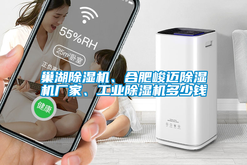 巢湖除濕機(jī)、合肥峻邁除濕機(jī)廠家、工業(yè)除濕機(jī)多少錢