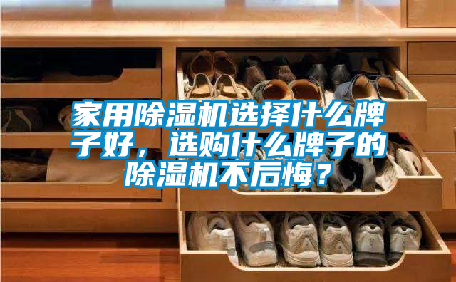 家用除濕機(jī)選擇什么牌子好，選購(gòu)什么牌子的除濕機(jī)不后悔？