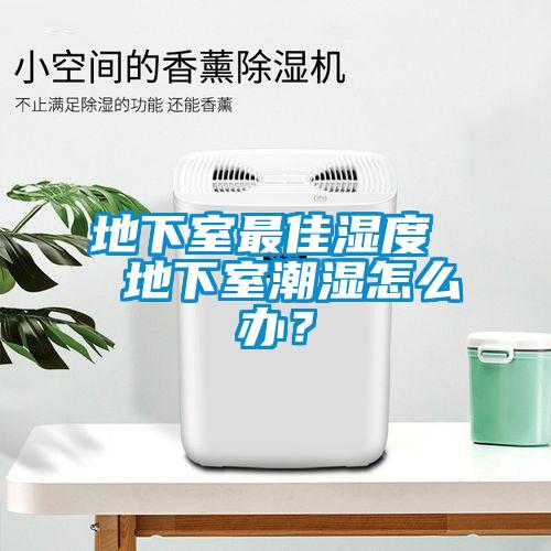 地下室最佳濕度  地下室潮濕怎么辦？