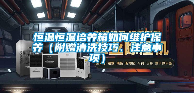 恒溫恒濕培養(yǎng)箱如何維護(hù)保養(yǎng)（附贈清洗技巧、注意事項）
