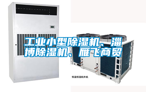 工業(yè)小型除濕機(jī)、淄博除濕機(jī)、雁飛商貿(mào)