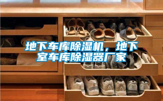 地下車庫除濕機(jī)，地下室車庫除濕器廠家