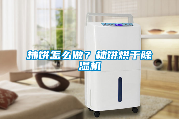 柿餅怎么做？柿餅烘干除濕機(jī)