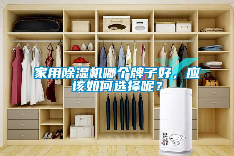 家用除濕機(jī)哪個(gè)牌子好，應(yīng)該如何選擇呢？