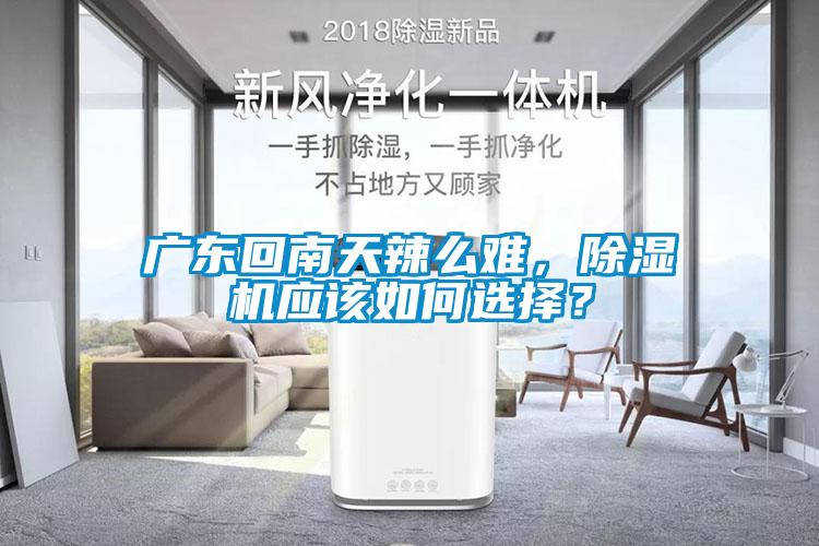 廣東回南天辣么難，除濕機(jī)應(yīng)該如何選擇？