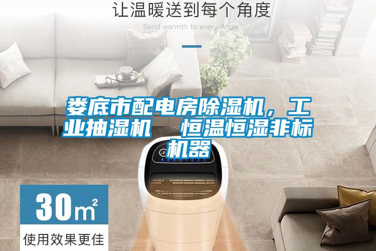 婁底市配電房除濕機(jī)，工業(yè)抽濕機(jī)  恒溫恒濕非標(biāo)機(jī)器