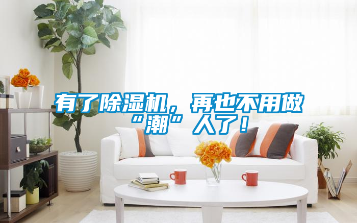 有了除濕機，再也不用做“潮”人了！