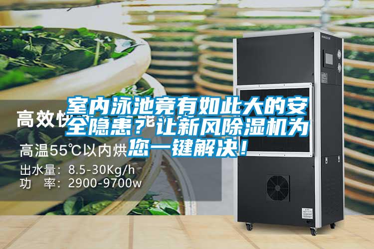室內(nèi)泳池竟有如此大的安全隱患？讓新風(fēng)除濕機(jī)為您一鍵解決！