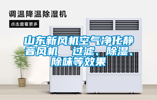 山東新風(fēng)機(jī)空氣凈化靜音風(fēng)機(jī)  過濾、除濕、除味等效果