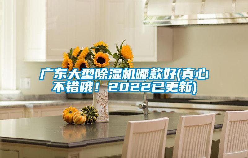 廣東大型除濕機哪款好(真心不錯哦！2022已更新)