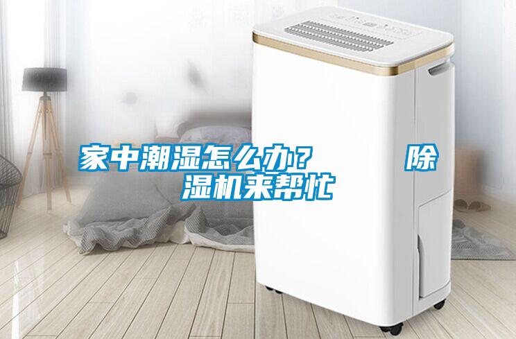 家中潮濕怎么辦？    除濕機(jī)來幫忙