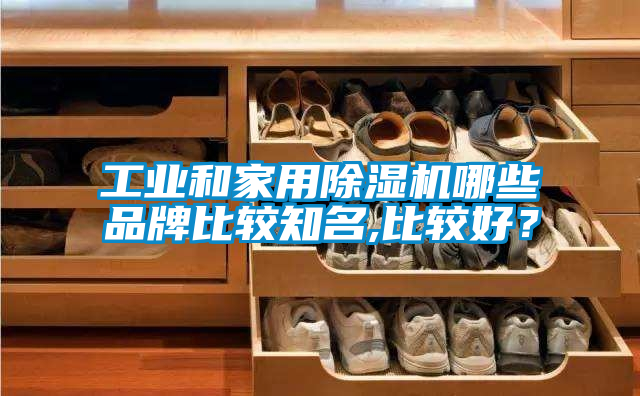 工業(yè)和家用除濕機哪些品牌比較知名,比較好？